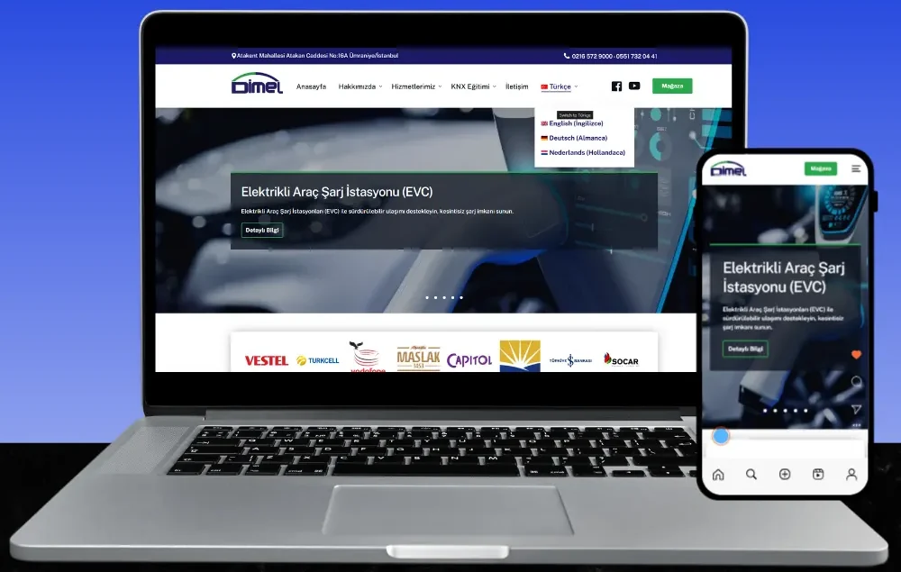 dimel.eu web sitesi tasarımı